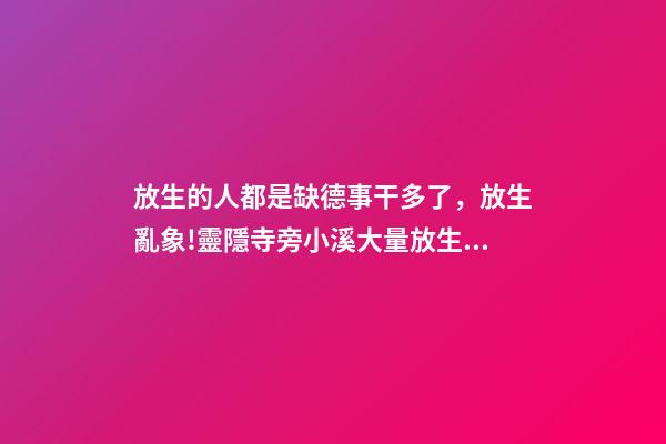 放生的人都是缺德事干多了，放生亂象!靈隱寺旁小溪大量放生烏龜死亡-第1張-觀點-玄機派