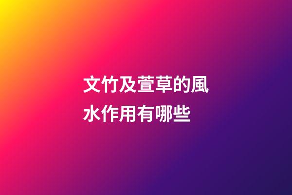 文竹及萱草的風水作用有哪些?