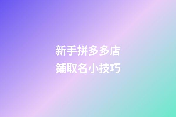 新手拼多多店鋪取名小技巧