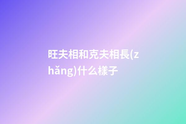 旺夫相和克夫相長(zhǎng)什么樣子