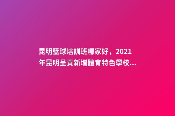 昆明籃球培訓班哪家好，2021年昆明呈貢新增體育特色學校9所-第1張-觀點-玄機派