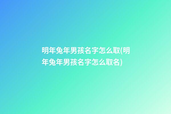明年兔年男孩名字怎么取(明年兔年男孩名字怎么取名)