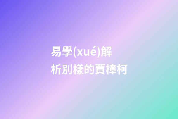 易學(xué)解析別樣的賈樟柯