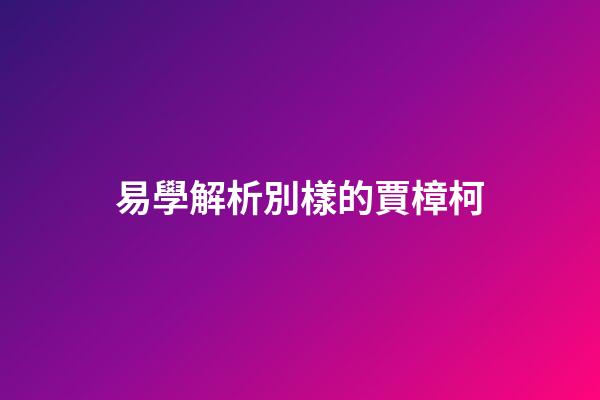 易學解析別樣的賈樟柯