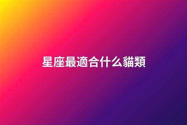 星座最適合什么貓類-第1張-星座運勢-玄機派