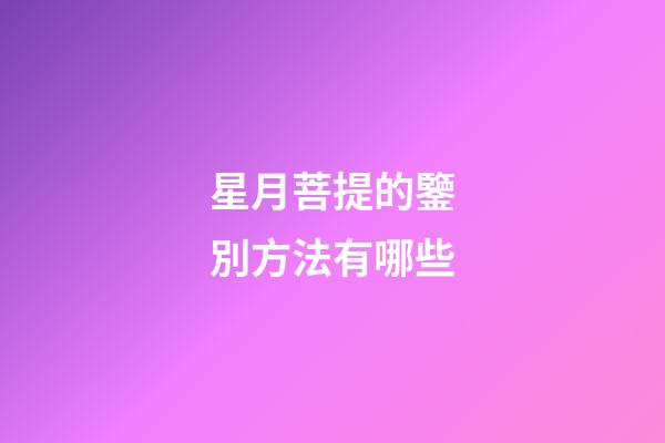 星月菩提的鑒別方法有哪些