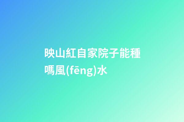 映山紅自家院子能種嗎風(fēng)水