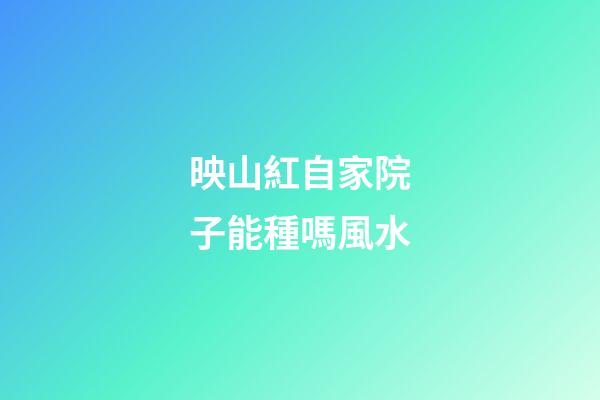 映山紅自家院子能種嗎風水