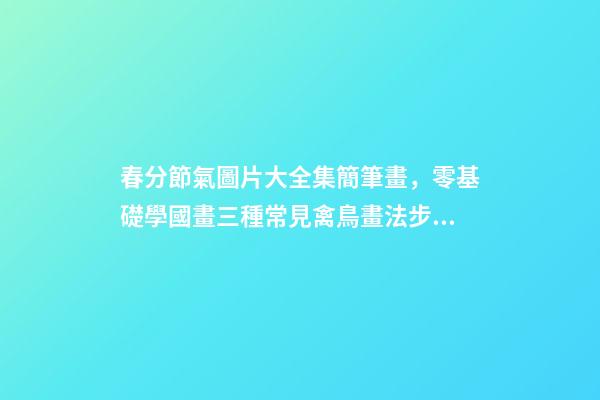 春分節氣圖片大全集簡筆畫，零基礎學國畫三種常見禽鳥畫法步驟圖解