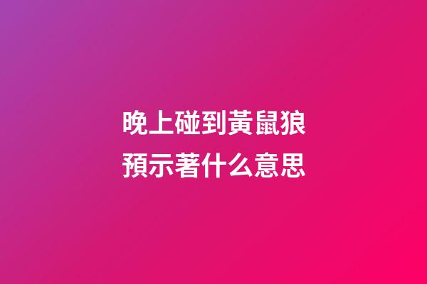 晚上碰到黃鼠狼預示著什么意思