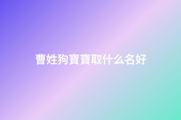 曹姓狗寶寶取什么名好(姓曹的小孩起什么名字好)-第1張-寶寶起名-玄機派