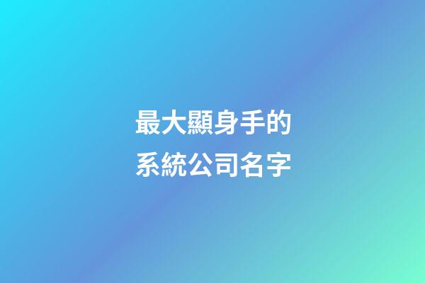 最大顯身手的系統公司名字-第1張-公司起名-玄機派