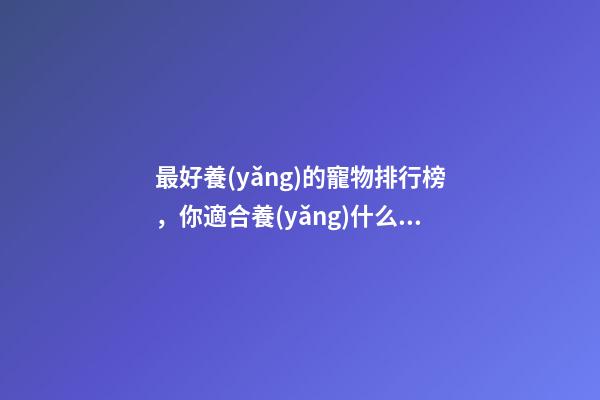 最好養(yǎng)的寵物排行榜，你適合養(yǎng)什么樣的貓-第1張-觀點(diǎn)-玄機(jī)派