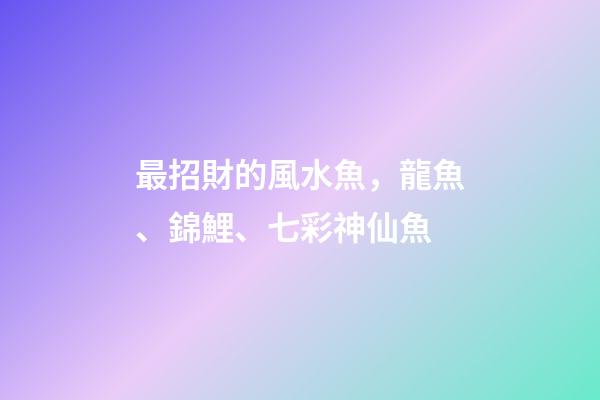 最招財的風水魚，龍魚、錦鯉、七彩神仙魚