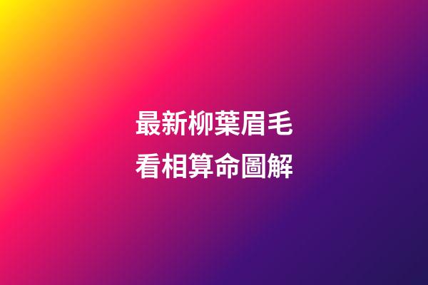 最新柳葉眉毛看相算命圖解