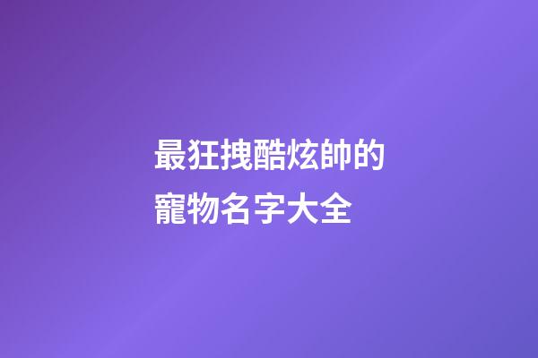 最狂拽酷炫帥的寵物名字大全