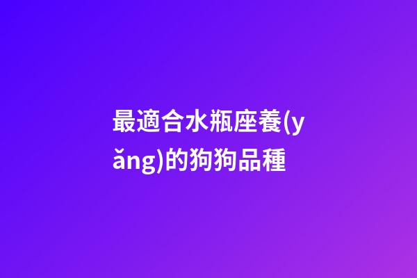 最適合水瓶座養(yǎng)的狗狗品種-第1張-星座運(yùn)勢(shì)-玄機(jī)派