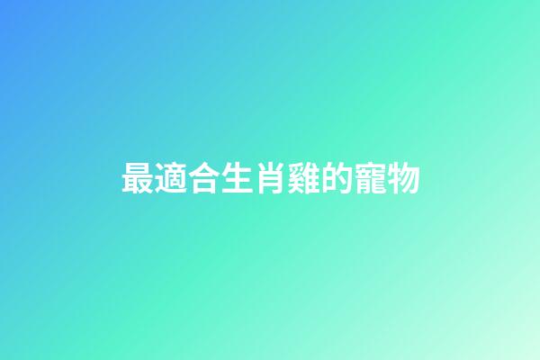 最適合生肖雞的寵物