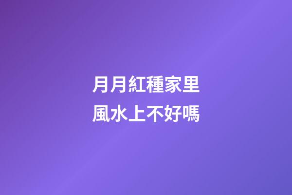 月月紅種家里風水上不好嗎