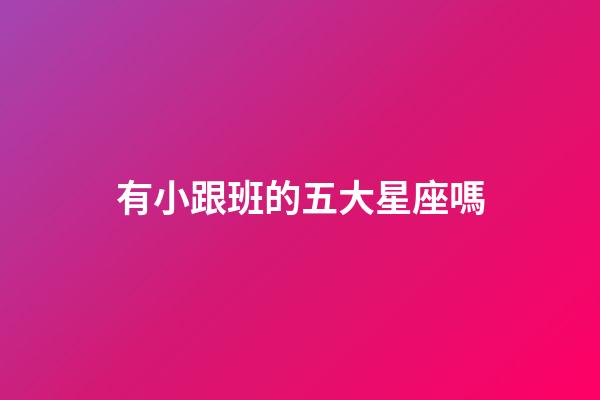 有小跟班的五大星座嗎-第1張-星座運勢-玄機派