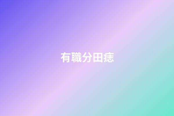 有職分田痣