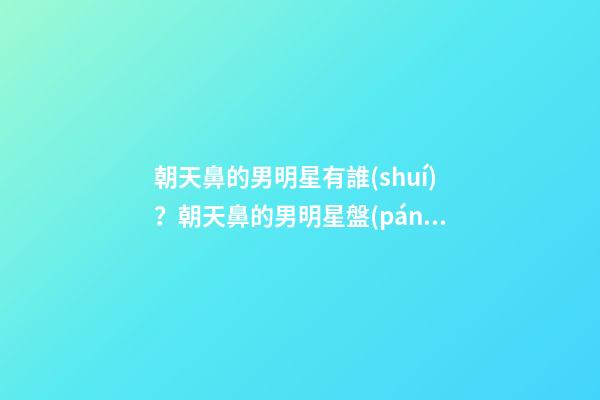 朝天鼻的男明星有誰(shuí)？朝天鼻的男明星盤(pán)點(diǎn)