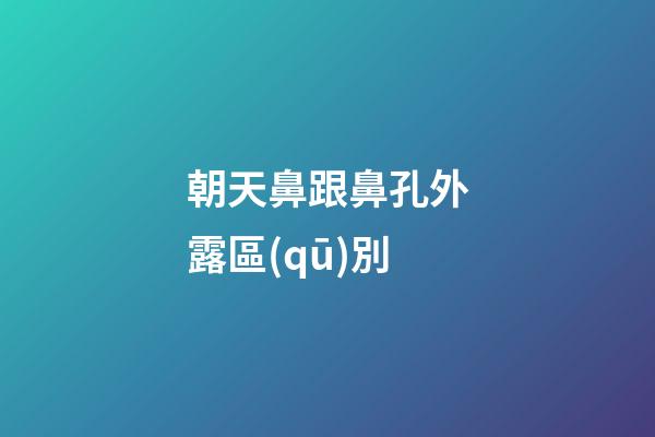 朝天鼻跟鼻孔外露區(qū)別