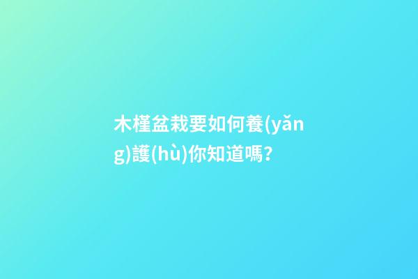 木槿盆栽要如何養(yǎng)護(hù)你知道嗎？