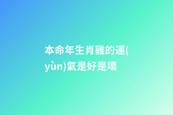本命年生肖雞的運(yùn)氣是好是壞
