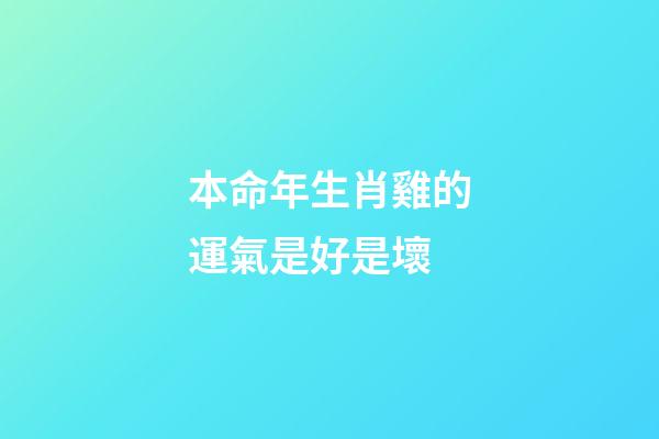 本命年生肖雞的運氣是好是壞