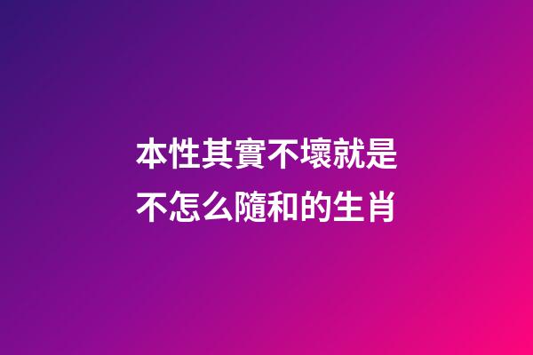 本性其實不壞就是不怎么隨和的生肖