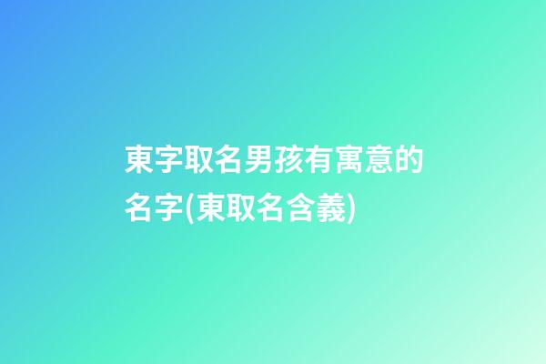 東字取名男孩有寓意的名字(東取名含義)
