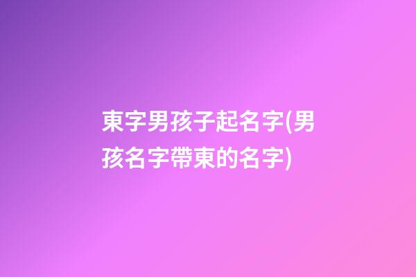 東字男孩子起名字(男孩名字帶東的名字)