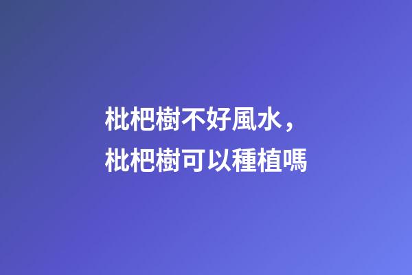 枇杷樹不好風水，枇杷樹可以種植嗎