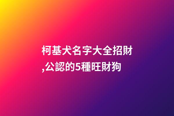 柯基犬名字大全招財,公認的5種旺財狗-第1張-觀點-玄機派