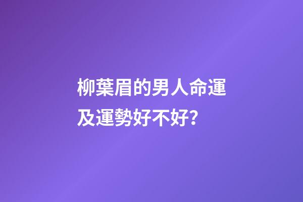 柳葉眉的男人命運及運勢好不好？