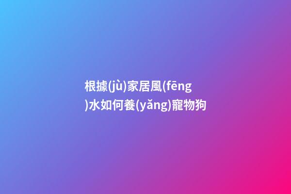 根據(jù)家居風(fēng)水如何養(yǎng)寵物狗
