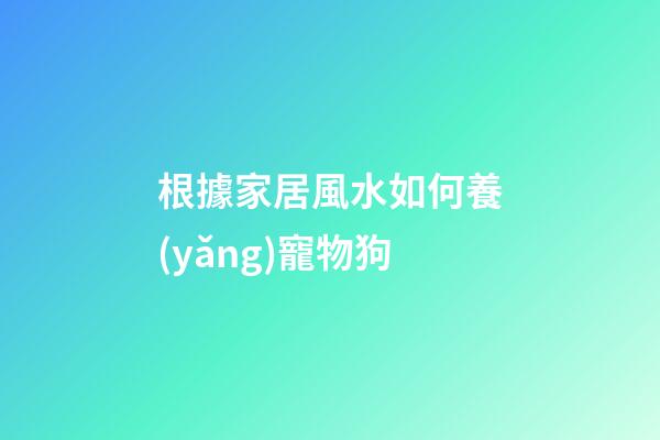根據家居風水如何養(yǎng)寵物狗