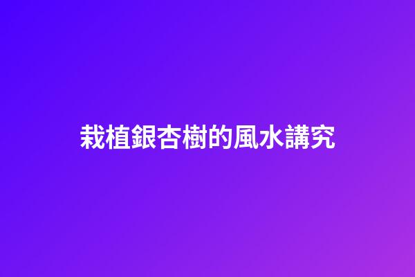 栽植銀杏樹的風水講究