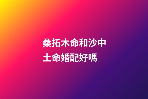 桑拓木命和沙中土命婚配好嗎