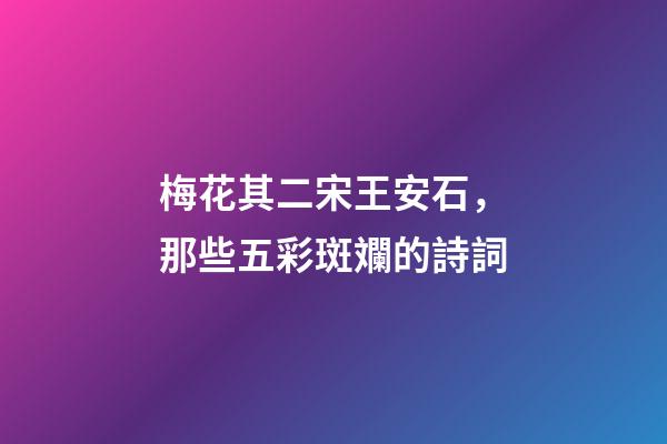 梅花其二宋王安石，那些五彩斑斕的詩詞