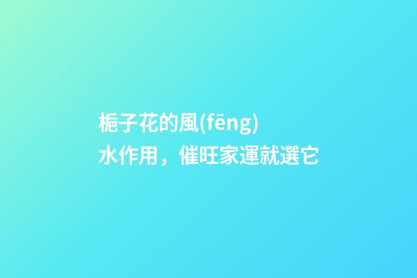 梔子花的風(fēng)水作用，催旺家運就選它