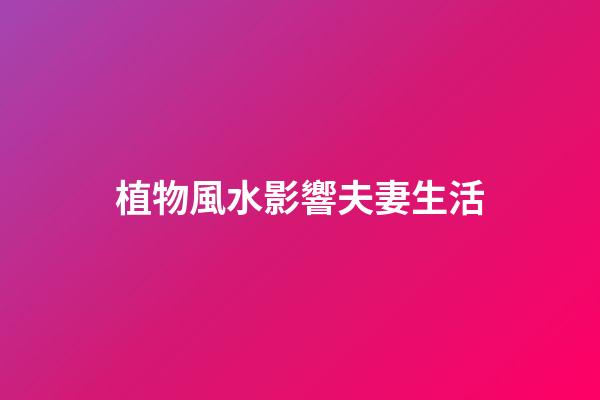 植物風水影響夫妻生活