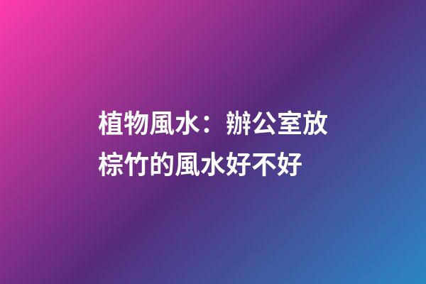 植物風水：辦公室放棕竹的風水好不好
