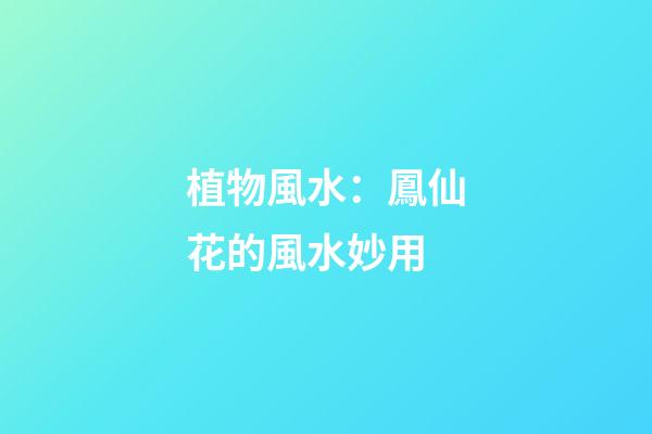 植物風水：鳳仙花的風水妙用