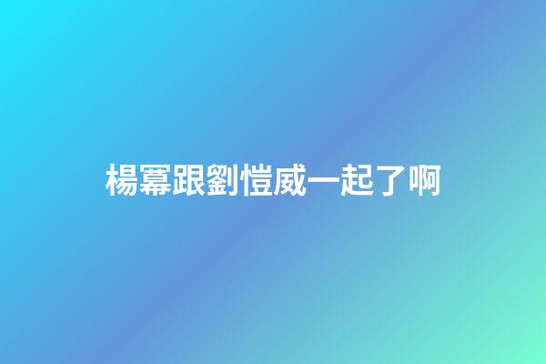 楊冪跟劉愷威一起了啊