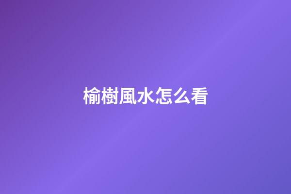 榆樹風水怎么看