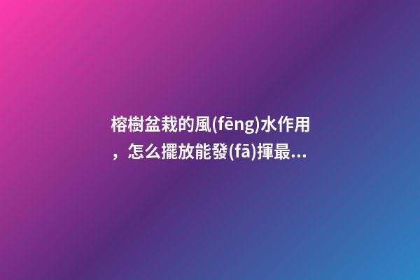 榕樹盆栽的風(fēng)水作用，怎么擺放能發(fā)揮最大效果？