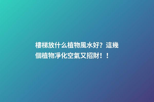 樓梯放什么植物風水好？這幾個植物凈化空氣又招財！！