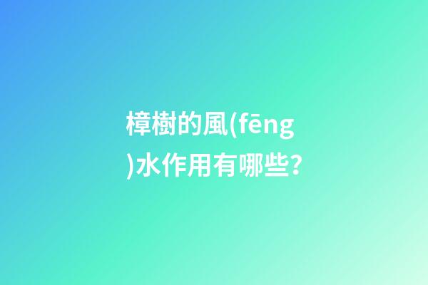 樟樹的風(fēng)水作用有哪些？